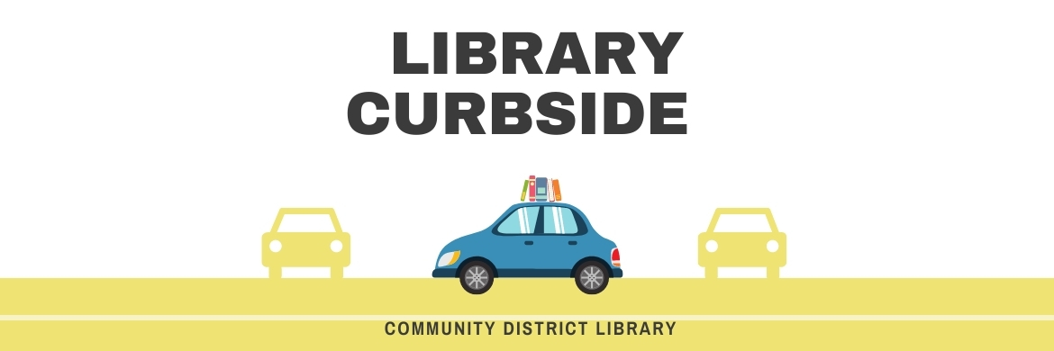 Picture of car with library books on the roof