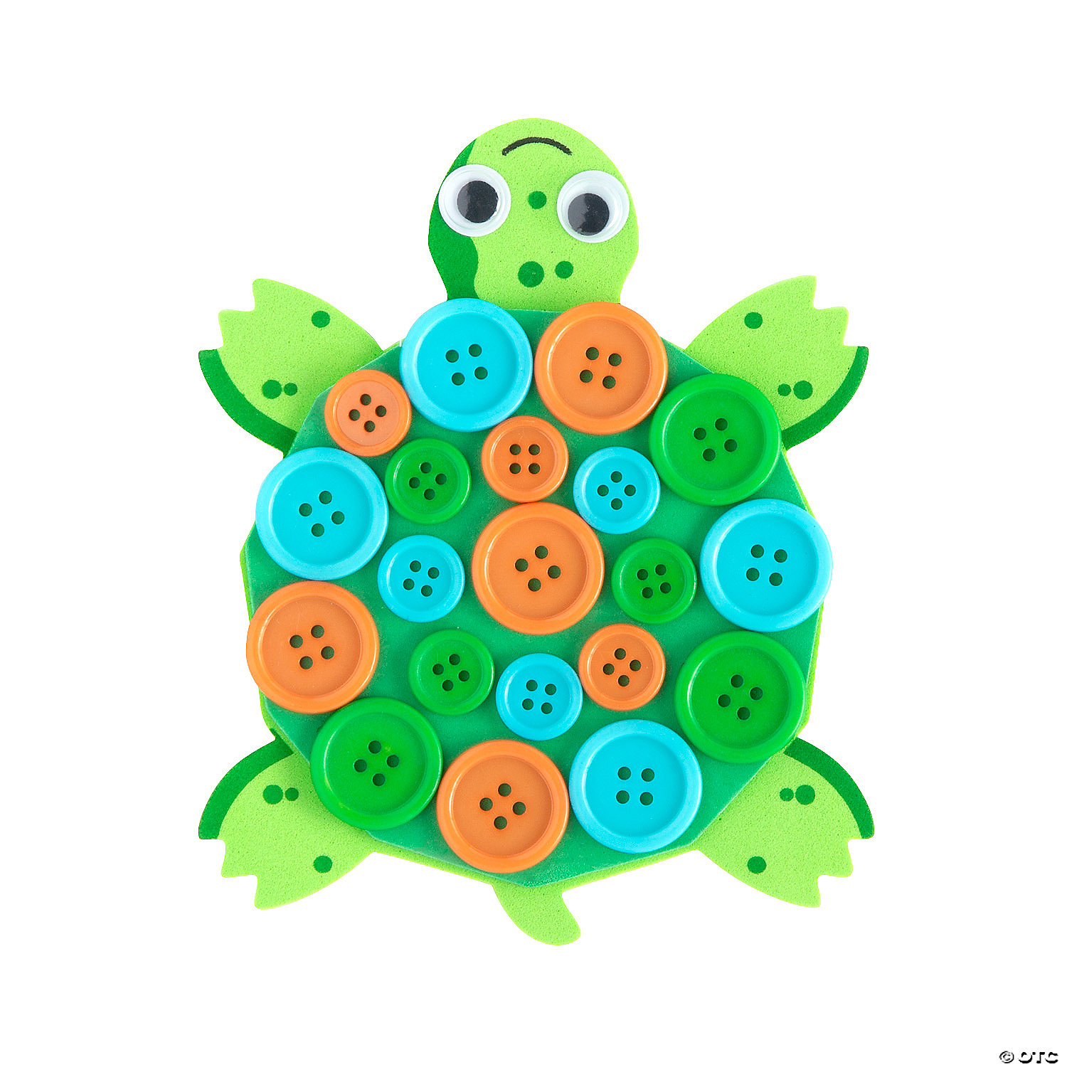 button turtle