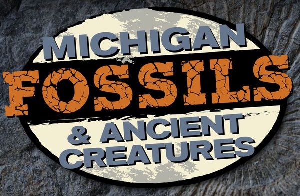 black, white, and orange sign saying "Fossils"