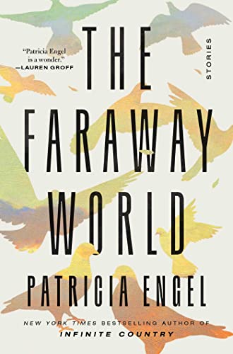Image for "The Faraway World"