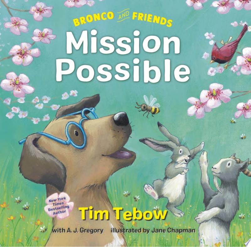 Image for "Bronco and Friends: Mission Possible"