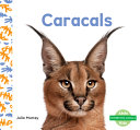 Image for "Caracals"