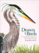 Image for "Drawn to Birds"