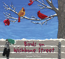 Image for "Birds on Wishbone Street"