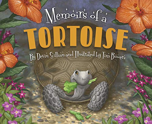 Image for "Memoirs of a Tortoise"