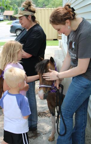 brown mini horse, ladies in black and grey shirt, boy in white shirt with blue sleeves