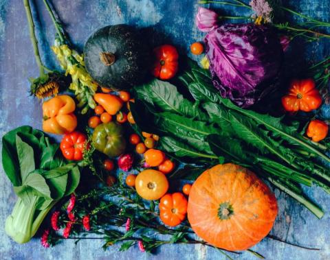 multi colored vegetables