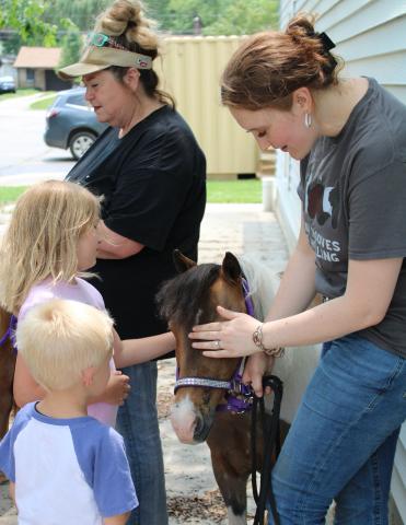 people with a brown miniature horse