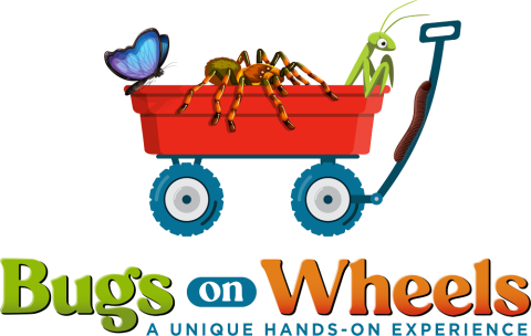 Bugs On Wheels