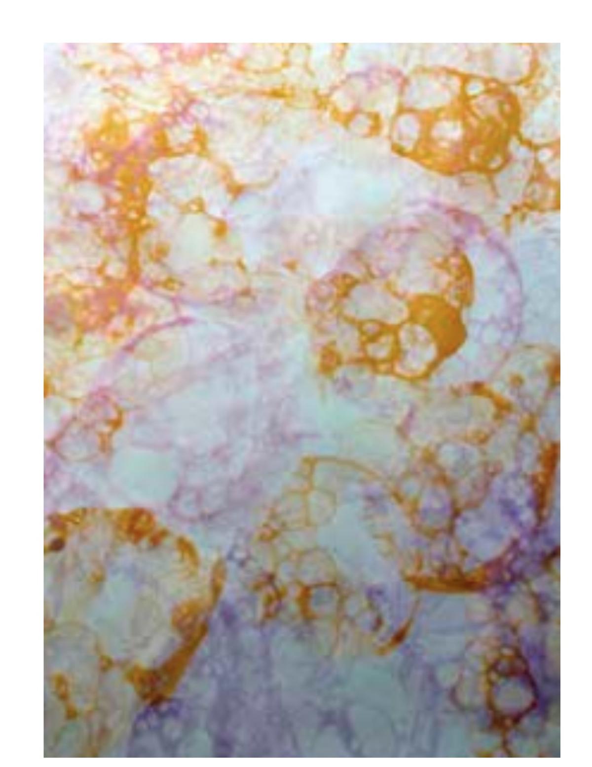 multi colored bubbles 