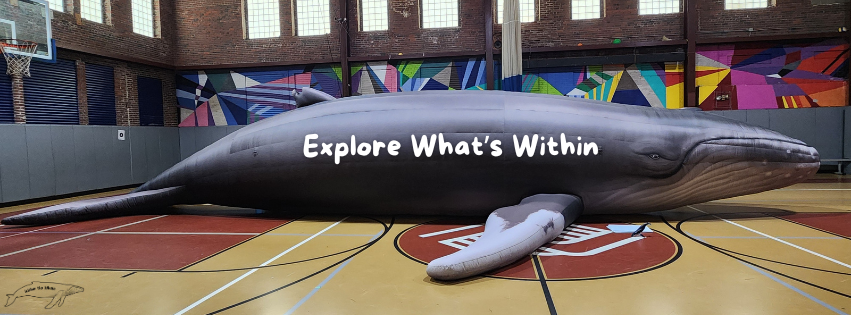 grey inflatable humpback whale 