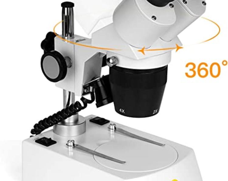 Swift Microscope 20X/40X/80X Magnification Image