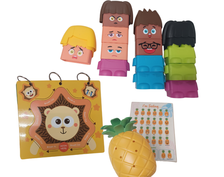Feelings and emotions early learning kit