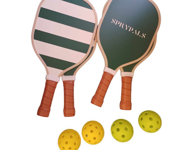 Pickleball set